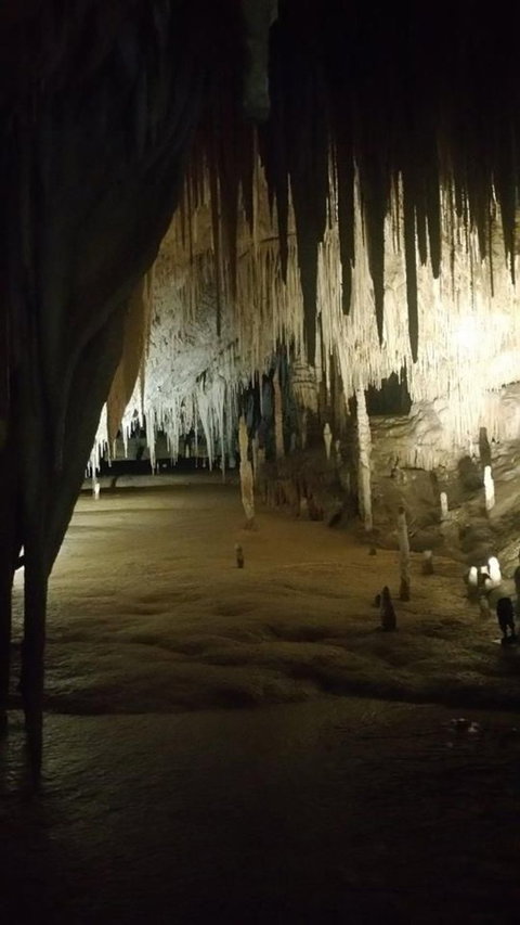 Small-group DayTour From Hobart: Hastings Caves, Huon Valley And Tahune AirWalk - Australia Accommodation 8