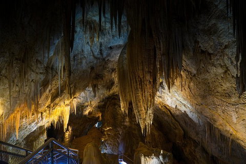 Small-group DayTour From Hobart: Hastings Caves, Huon Valley And Tahune AirWalk - Australia Accommodation 19
