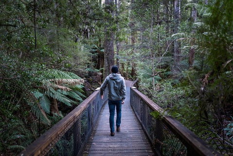 Small-group DayTour From Hobart: Hastings Caves, Huon Valley And Tahune AirWalk - Australia Accommodation 11
