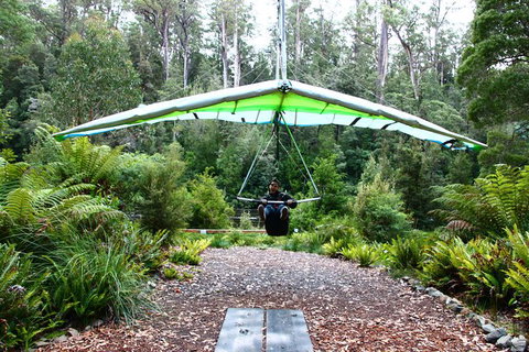 Small-group DayTour From Hobart: Hastings Caves, Huon Valley And Tahune AirWalk - Australia Accommodation 10