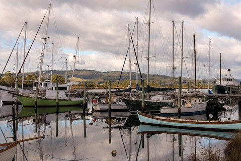 Small-group DayTour From Hobart: Hastings Caves, Huon Valley And Tahune AirWalk - Australia Accommodation 13