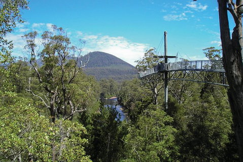 Small-group DayTour From Hobart: Hastings Caves, Huon Valley And Tahune AirWalk - Australia Accommodation 9