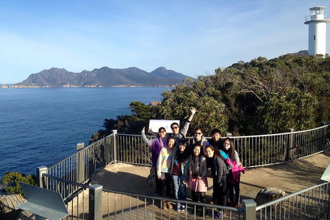 Full-Day Tour One-Way From Launceston To Hobart With Freycinet National Park - Australia Accommodation 2