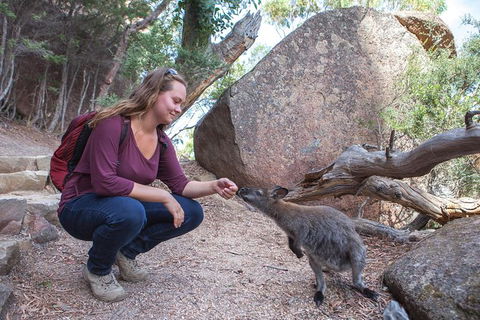 Full-Day Tour One-Way From Launceston To Hobart With Freycinet National Park - Australia Accommodation 10