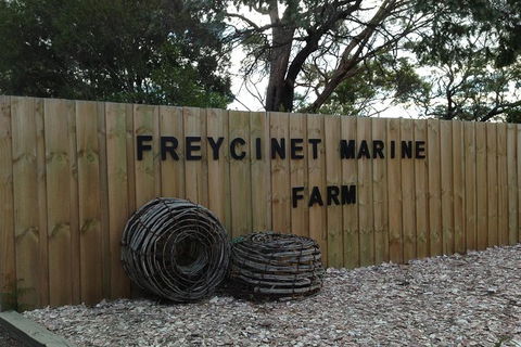 Full-Day Tour One-Way From Launceston To Hobart With Freycinet National Park - Australia Accommodation 8