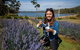 Port Arthur And Lavender Farm Active Day Tour - thumb 0