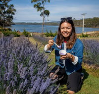 Port Arthur and Lavender Farm Active Day Tour - Australia Accommodation