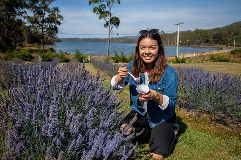 Port Arthur And Lavender Farm Active Day Tour - Australia Accommodation 0