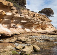 Maria Island premium private photo-oriented day tour from Hobart - Australia Accommodation