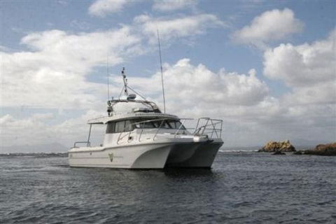 Bonnet Island Experience Departing From Strahan - Australia Accommodation 1