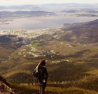 Mt Wellington Half Day Guided Summit Hike - Australia Accommodation