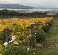 Mona and Wine Experience Tour - Australia Accommodation