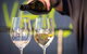 Full Day Tamar Valley Wine Tour - thumb 1