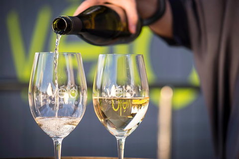 Full Day Tamar Valley Wine Tour - Australia Accommodation 1