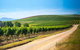 Full Day Tamar Valley Wine Tour - thumb 0