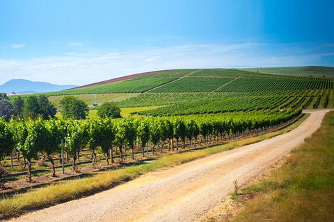Full Day Tamar Valley Wine Tour - Australia Accommodation 2