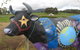 Cradle Mountain National Park Day Tour From Launceston - thumb 18