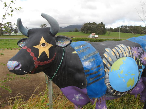 Cradle Mountain National Park Day Tour From Launceston - Australia Accommodation 18