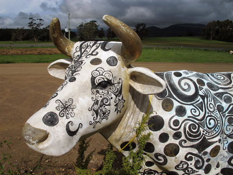 Cradle Mountain National Park Day Tour From Launceston - Australia Accommodation 19
