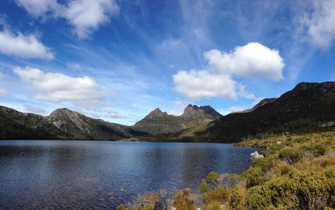 Cradle Mountain National Park Day Tour From Launceston - Australia Accommodation 12
