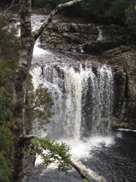 Cradle Mountain National Park Day Tour From Launceston - Australia Accommodation 3