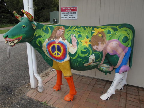 Cradle Mountain National Park Day Tour From Launceston - Australia Accommodation 4