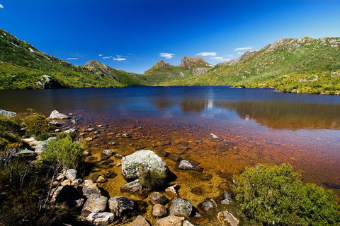 Cradle Mountain National Park Day Tour From Launceston - Australia Accommodation 22