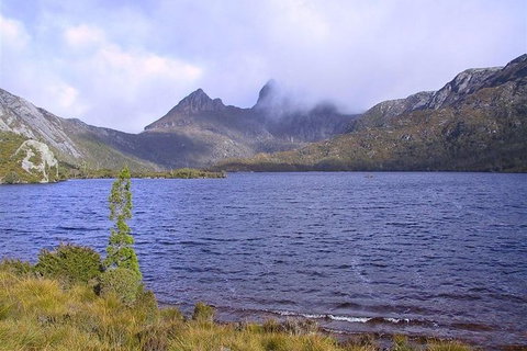 Cradle Mountain National Park Day Tour From Launceston - Australia Accommodation 21