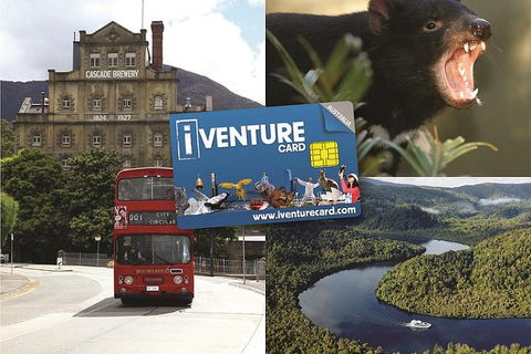 Tasmania Sightseeing Pass: Flexi 3 Pass - Australia Accommodation 0