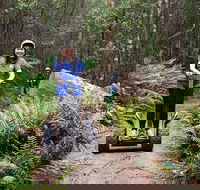 Hollybank Wilderness Adventures - Segway Tour - Australia Accommodation