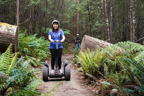 Hollybank Wilderness Adventures - Segway Tour - Australia Accommodation 2
