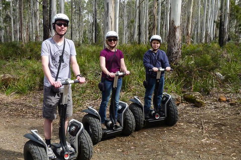 Hollybank Wilderness Adventures - Segway Tour - Australia Accommodation 3