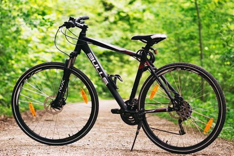Hobart Shore Excursion: Small Group Mount Wellington 3-Hour Bike Tour - Australia Accommodation 1