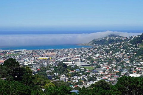 Hobart Shore Excursion: Small Group Mount Wellington 3-Hour Bike Tour - Australia Accommodation 0