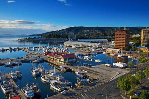 Hobart Shore Excursion: Small Group Mount Wellington 3-Hour Bike Tour - Australia Accommodation 6