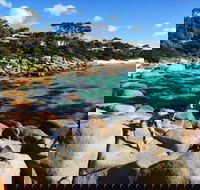 4-Day Tasmania East Coast Adventure from Launceston to Hobart Including Bay of Fires Wineglass Bay Bruny Island and Port Arthu - Australia Accommodation