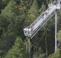 Cruise Ship Special from Hobart Mt Wellington and Tahune AirWalk - Australia Accommodation