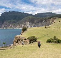 Maria Island National Park - Day Walk and Picnic Lunch - Australia Accommodation