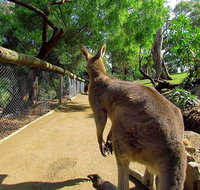 Wilderness and Wildlife - Australia Accommodation