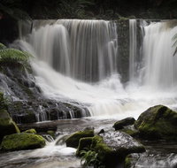 Mt Field National Park premium private photo-oriented day tour from Hobart - Australia Accommodation