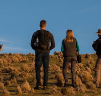Small Group Tasmanias Wilderness And Wildlife Day Tour - Australia Accommodation