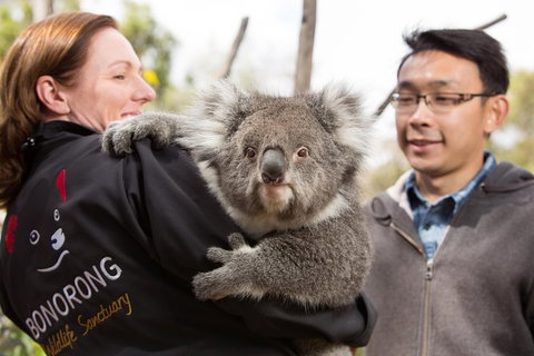 Bonorong Wildlife Park And Richmond Afternoon Tour From Hobart - Australia Accommodation 7