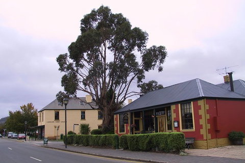 Bonorong Wildlife Park And Richmond Afternoon Tour From Hobart - Australia Accommodation 8
