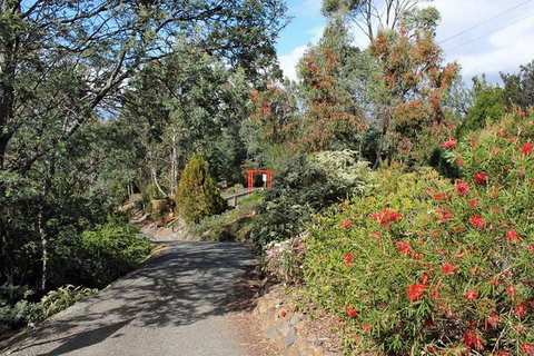 Small-group Tour From Hobart: Native Flora And Fauna, Incl. Royal Bot. Gardens - Australia Accommodation 11
