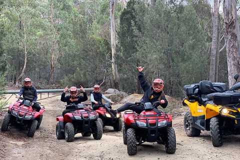 Quad Bike 2-Hour Adventure: Freycinet National Park - Australia Accommodation 4