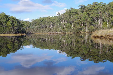 Leven River Picnic Cruise From Ulverstone - Australia Accommodation 1