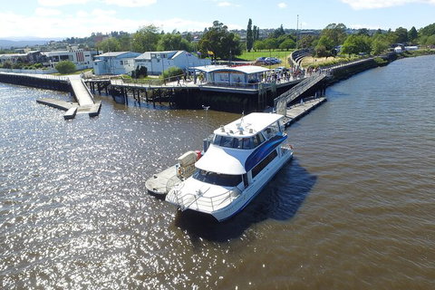 2.5 Hour Morning Discovery Cruise Including Sailing Into The Cataract Gorge - Australia Accommodation 3
