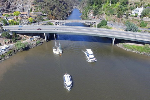 2.50 Hour Afternoon Discovery Cruise Including Cataract Gorge Departing At 3 Pm - Australia Accommodation 5