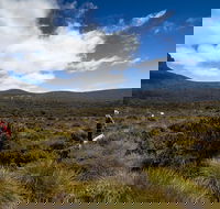 6-Day Overland Track PhotoTour - Australia Accommodation