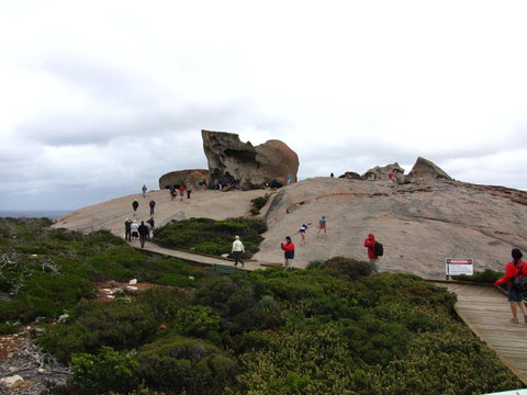 Kangaroo Island In A Day Tour From Adelaide - Australia Accommodation 21